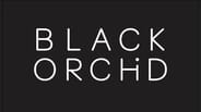 Black Orchid Yoga and Cycle - 6- Month Unlimited Cycle Membership